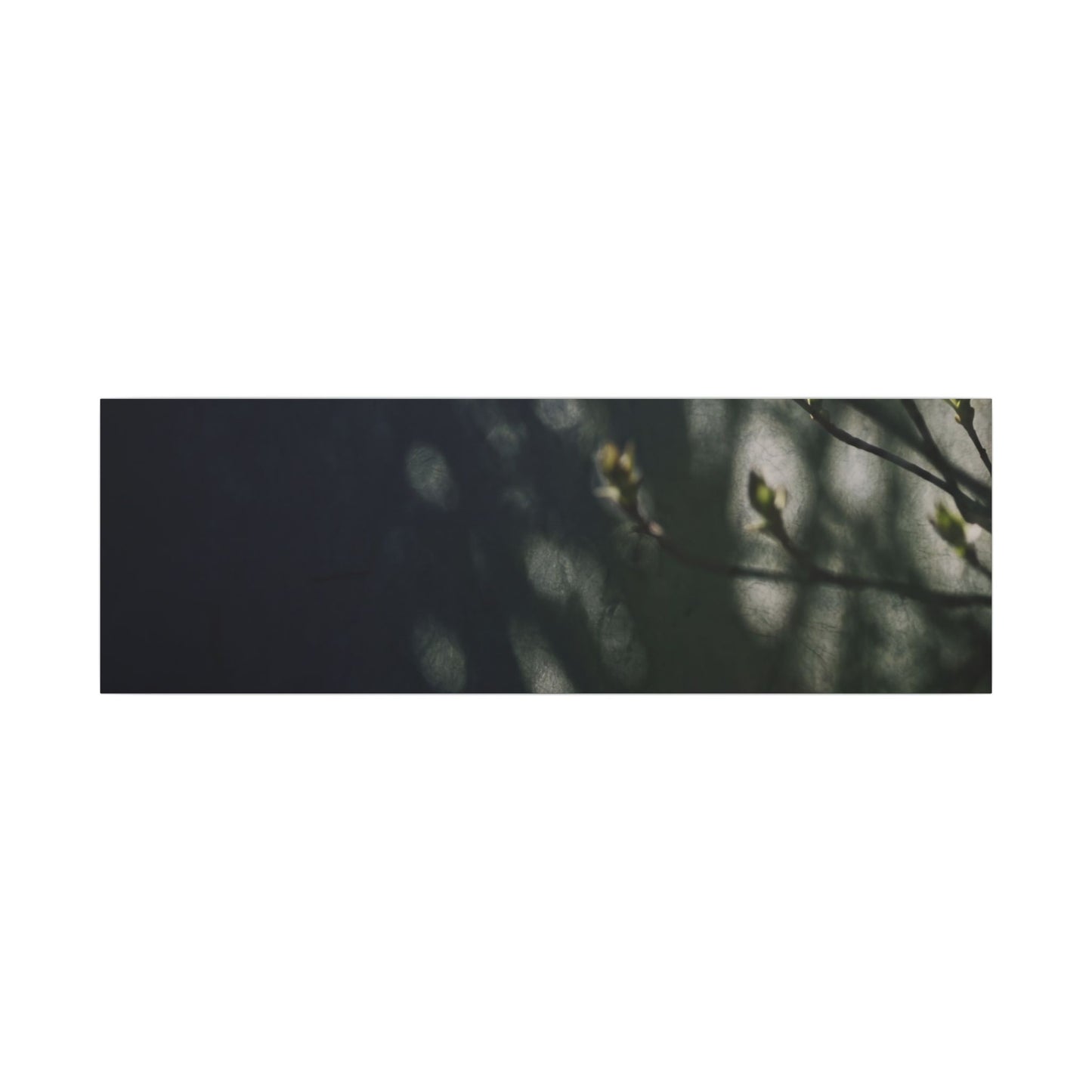 Dark Japandi Shoji Screen in Dappled | Moody Minimal Canvas Art