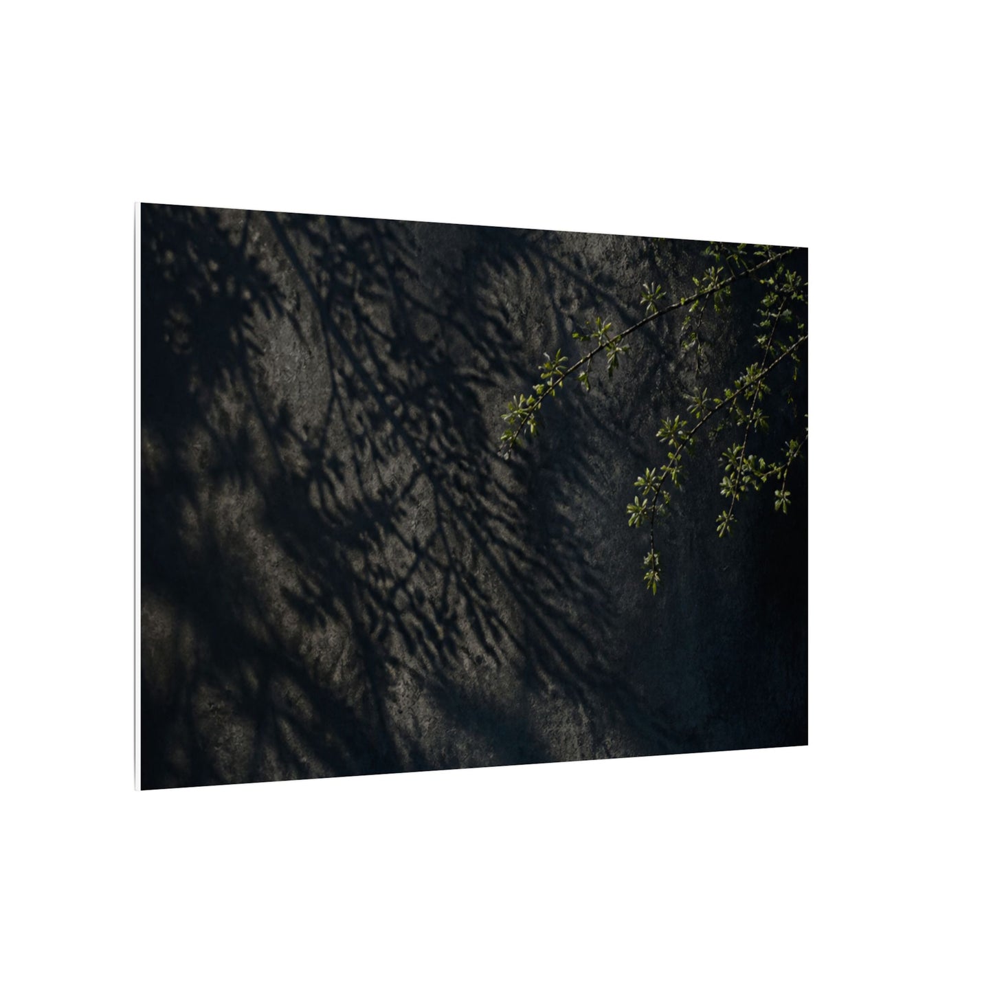 Overcast Shadow Play Canvas Art - Dark Japandi Seijaku