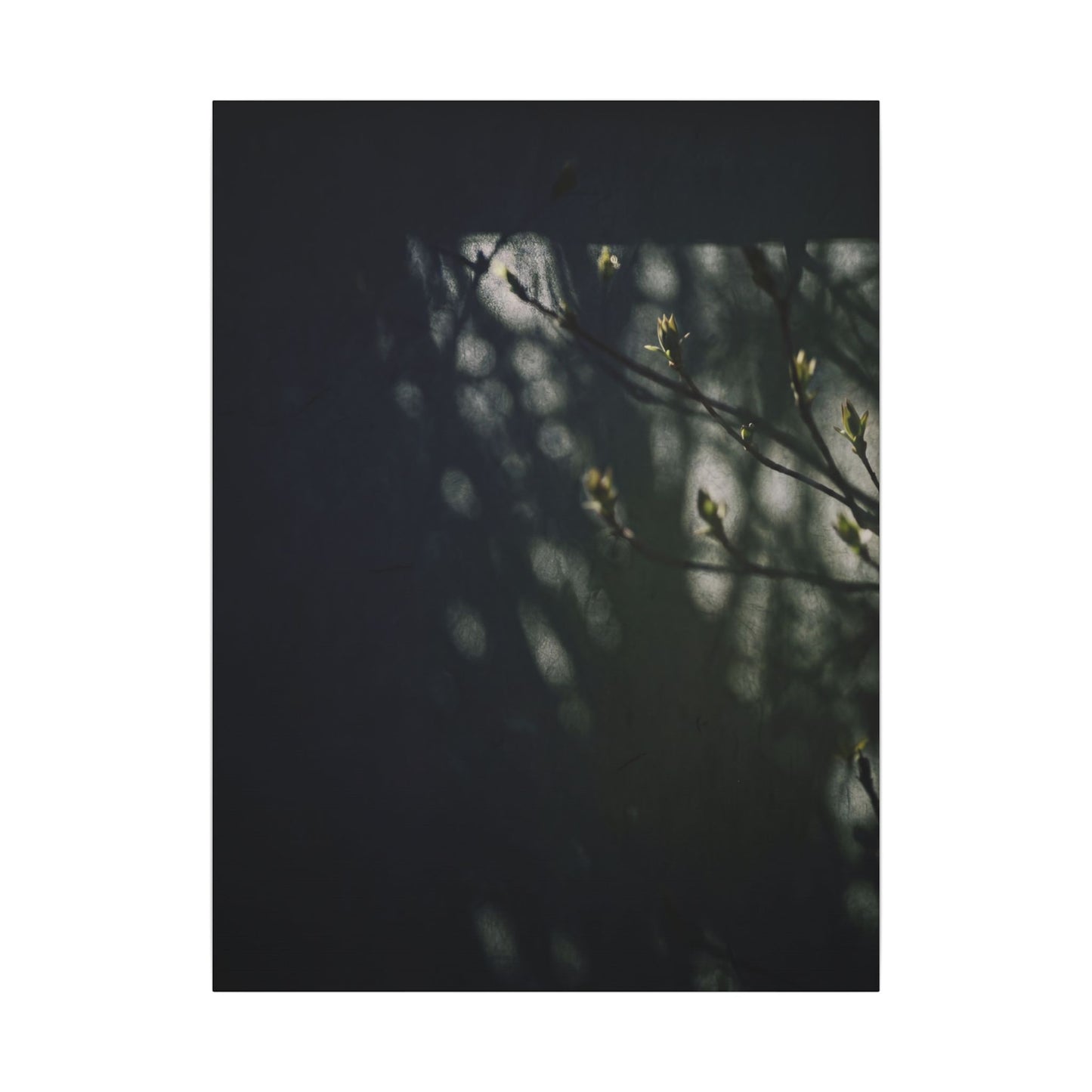 Dark Japandi Shoji Screen in Dappled | Moody Minimal Canvas Art