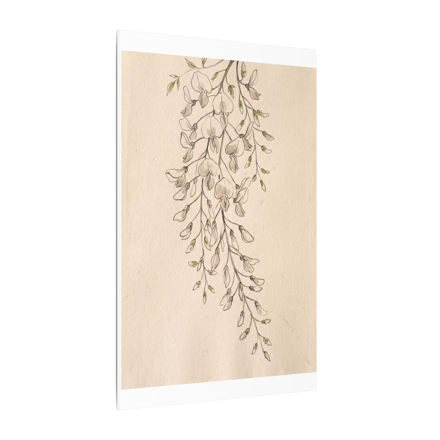 Japandi Wisteria in Golden Hour | Minimal Line Canvas Art