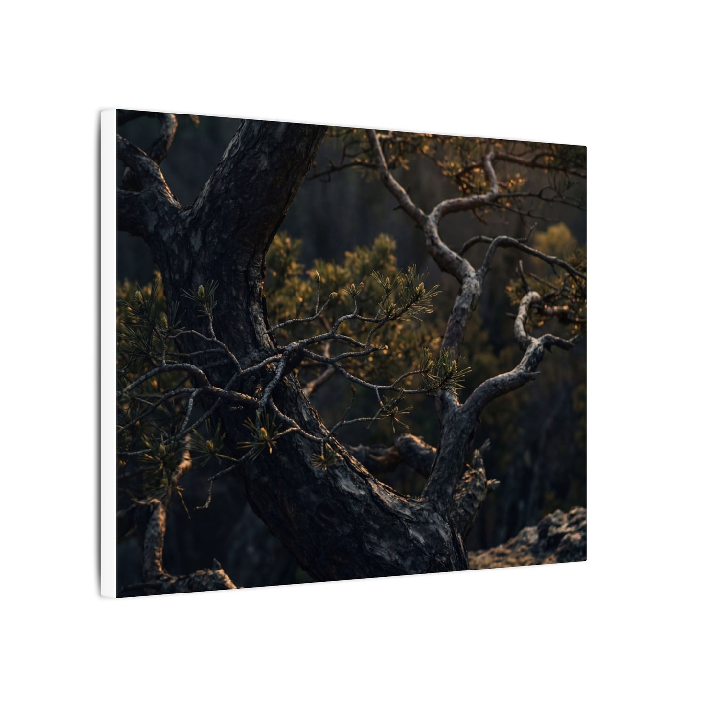 Moody Pine Tree Canvas Art - Moody Minimal Dark Japandi