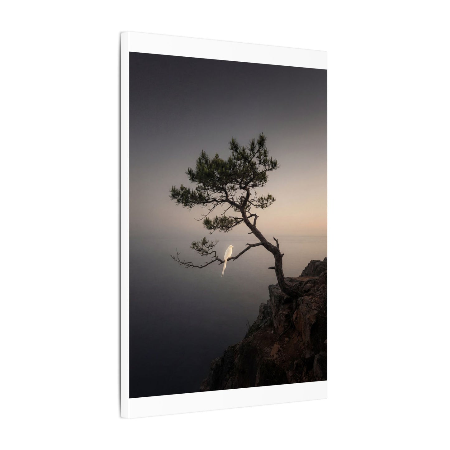 Dawn Pine Tree Canvas Art - Dark Japandi Datsuzoku