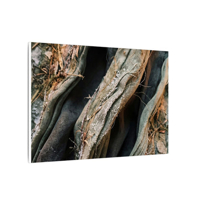 Silk Drape Winter Canvas Art | Japandi Cozy Design