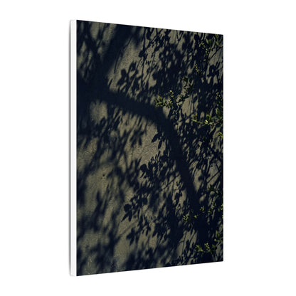 Atmospheric Shadow Play Canvas Art - Moody Minimal Dark Japandi