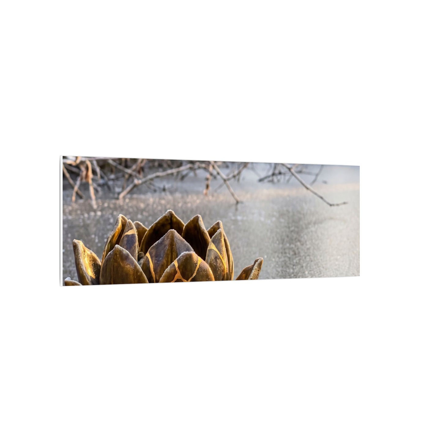 Lotus Flower Gold Repair Canvas Art | Beautiful Kintsugi Art