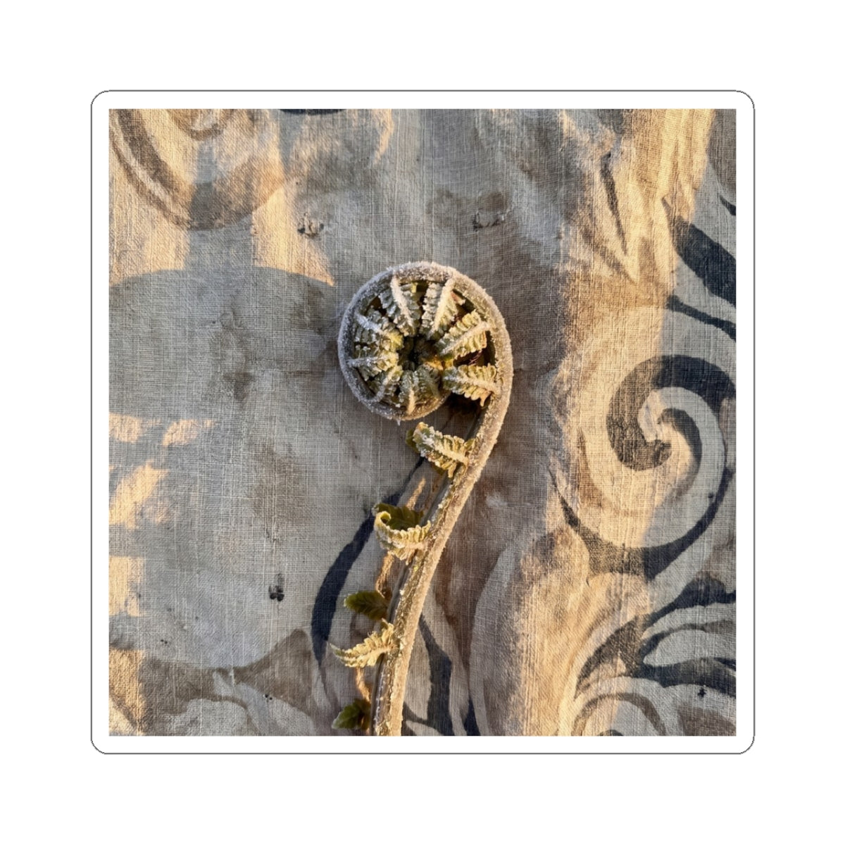 Fern Unfurling Japanese Pattern Sticker | Neutral Japandi Art