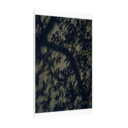 Atmospheric Shadow Play Canvas Art - Moody Minimal Dark Japandi