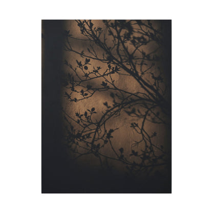 Dark Japandi Shadow Play in Golden Hour | Shadow Zen Canvas Art