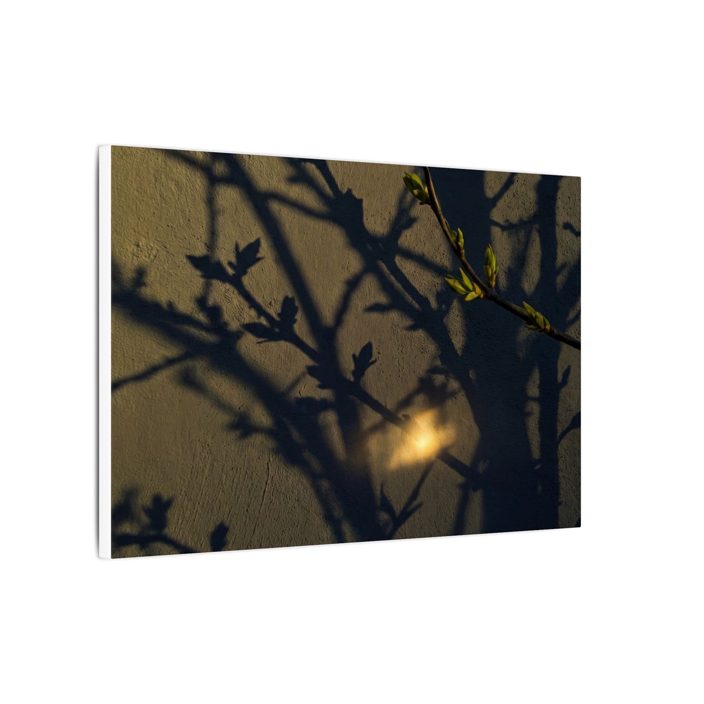 Bold Shadow Play Canvas Art - Moody Minimal Dark Japandi