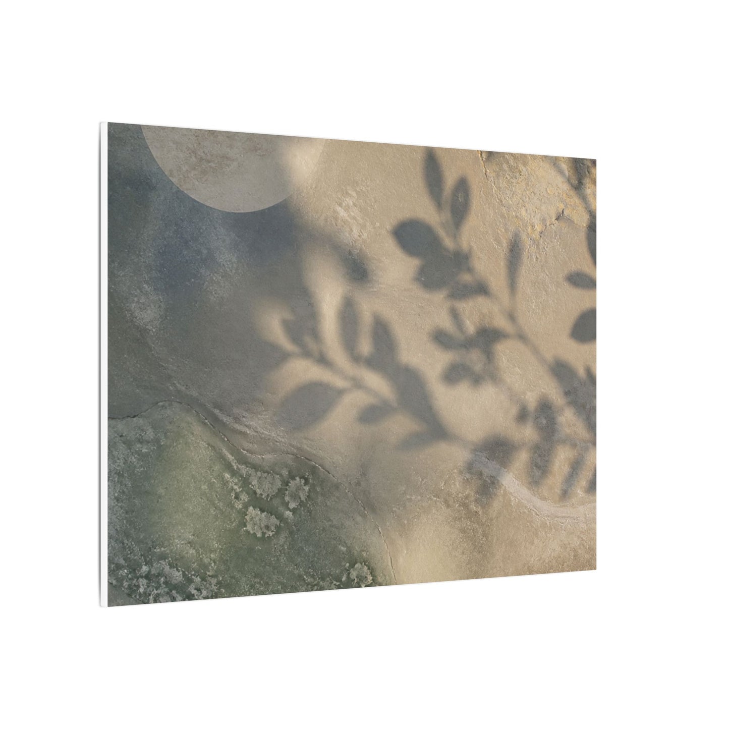 Japandi Shadow Play in Moonlight | Texture Canvas Art