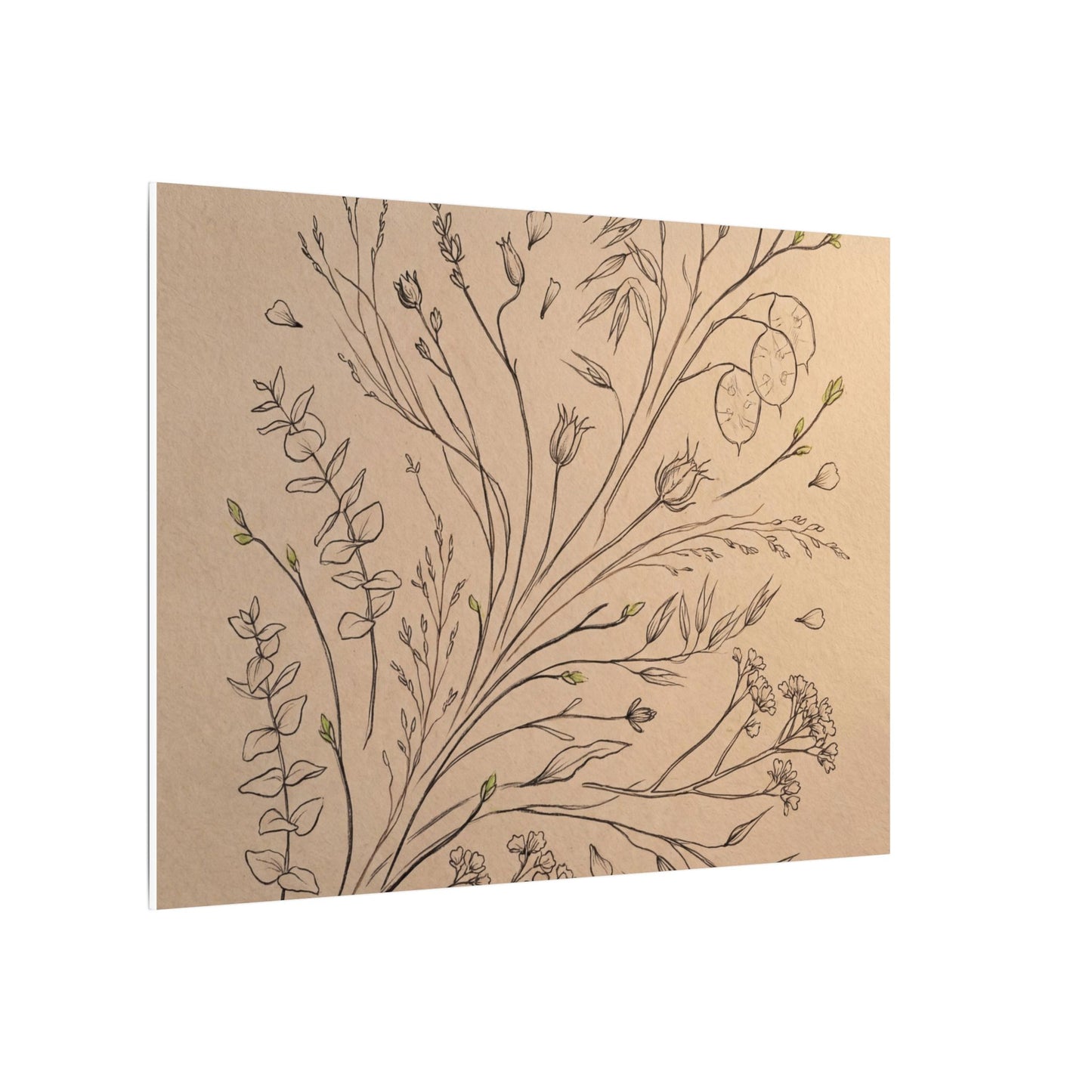 Dried Flowers Canvas Art | Spring Japandi Minimal Line Art