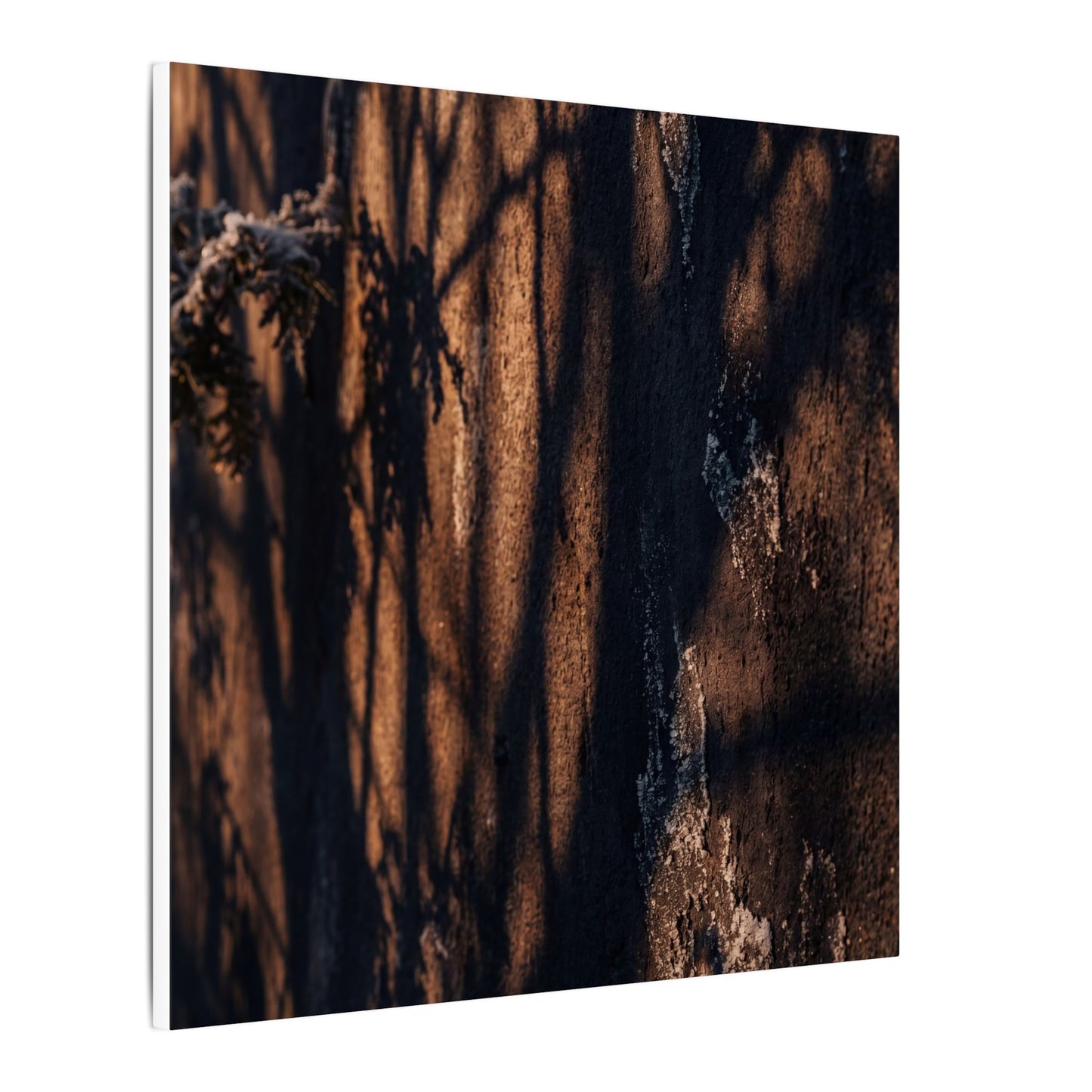 Golden Hour Shadow Play Canvas Art - Dark Japandi Fukinsei