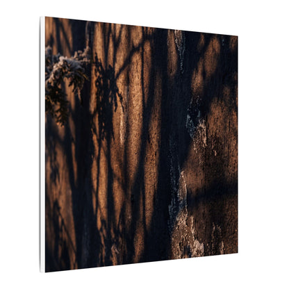 Golden Hour Shadow Play Canvas Art - Dark Japandi Fukinsei