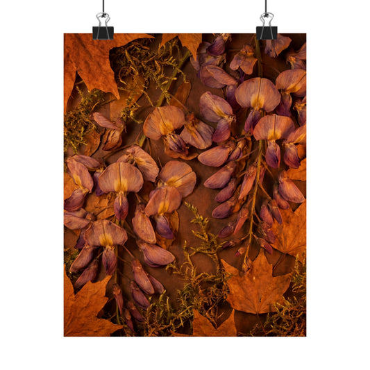 Wisteria Herbarium Wall Art Print | Rustic Cottagecore Art Art Print