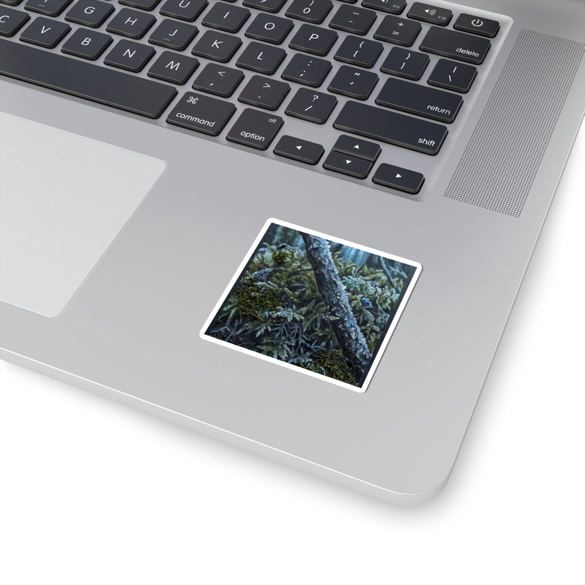 Moss Close Up Dark Texture Sticker | Luxurious Dark Japandi Art
