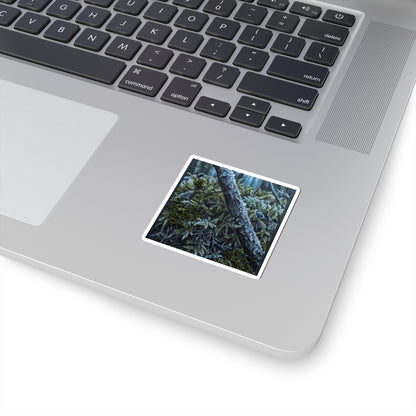 Moss Close Up Dark Texture Sticker | Luxurious Dark Japandi Art