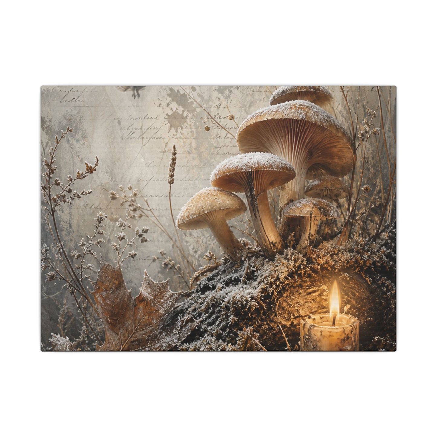 Wild Mushrooms Texture Canvas Art | Elegant Japandi Art