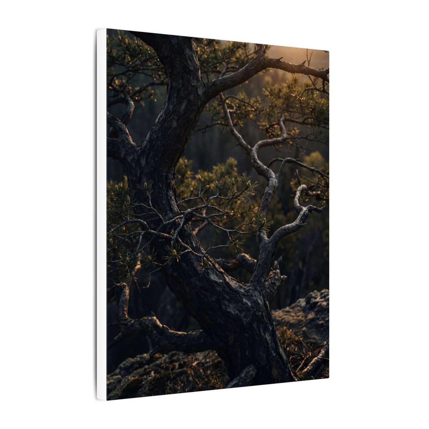 Moody Pine Tree Canvas Art - Moody Minimal Dark Japandi