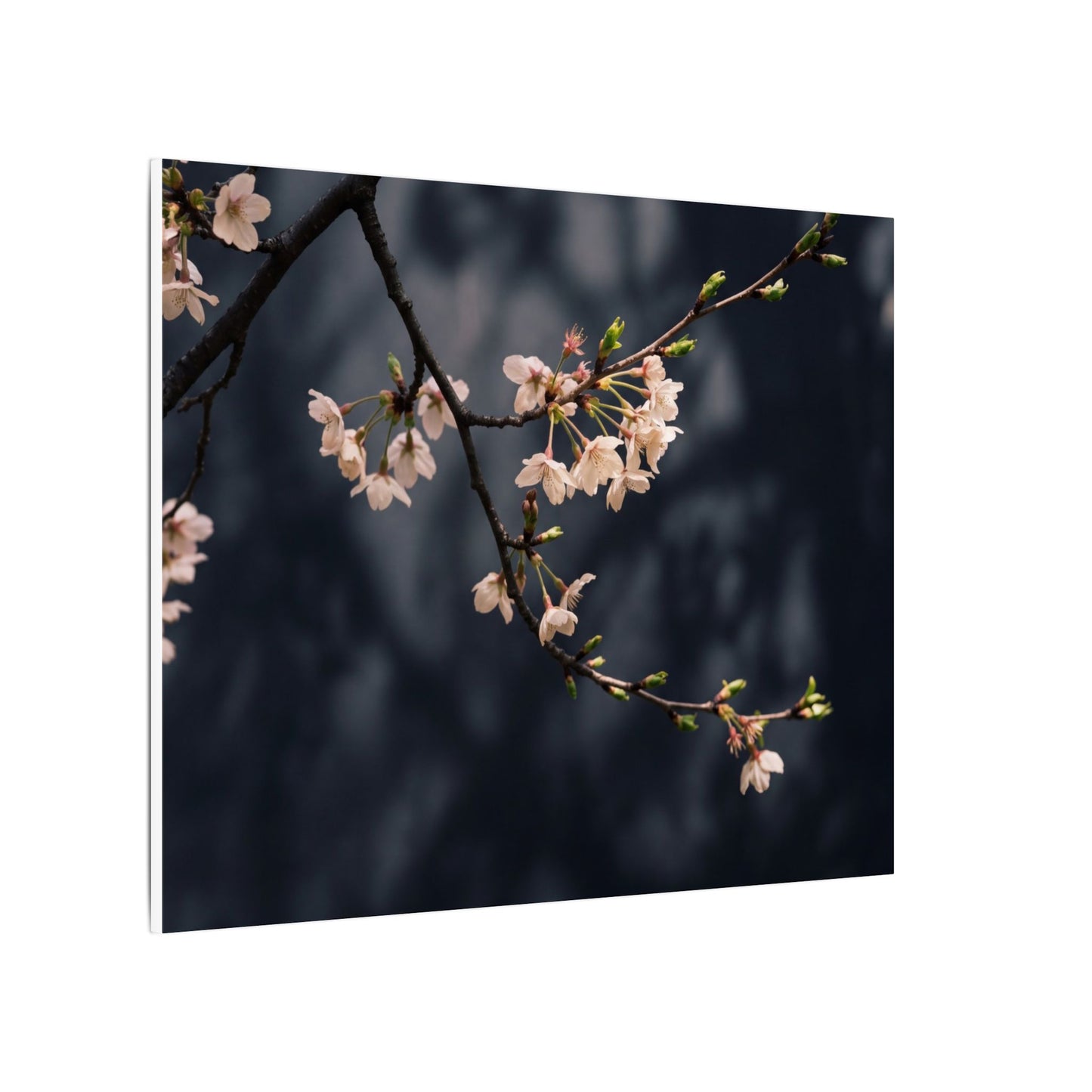 Cherry Blossom Moody Minimal Canvas Art | Bold Dark Japandi Art