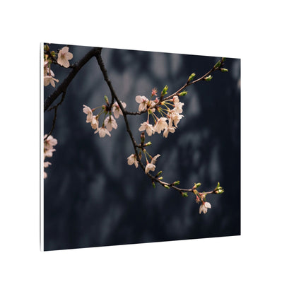 Cherry Blossom Moody Minimal Canvas Art | Bold Dark Japandi Art