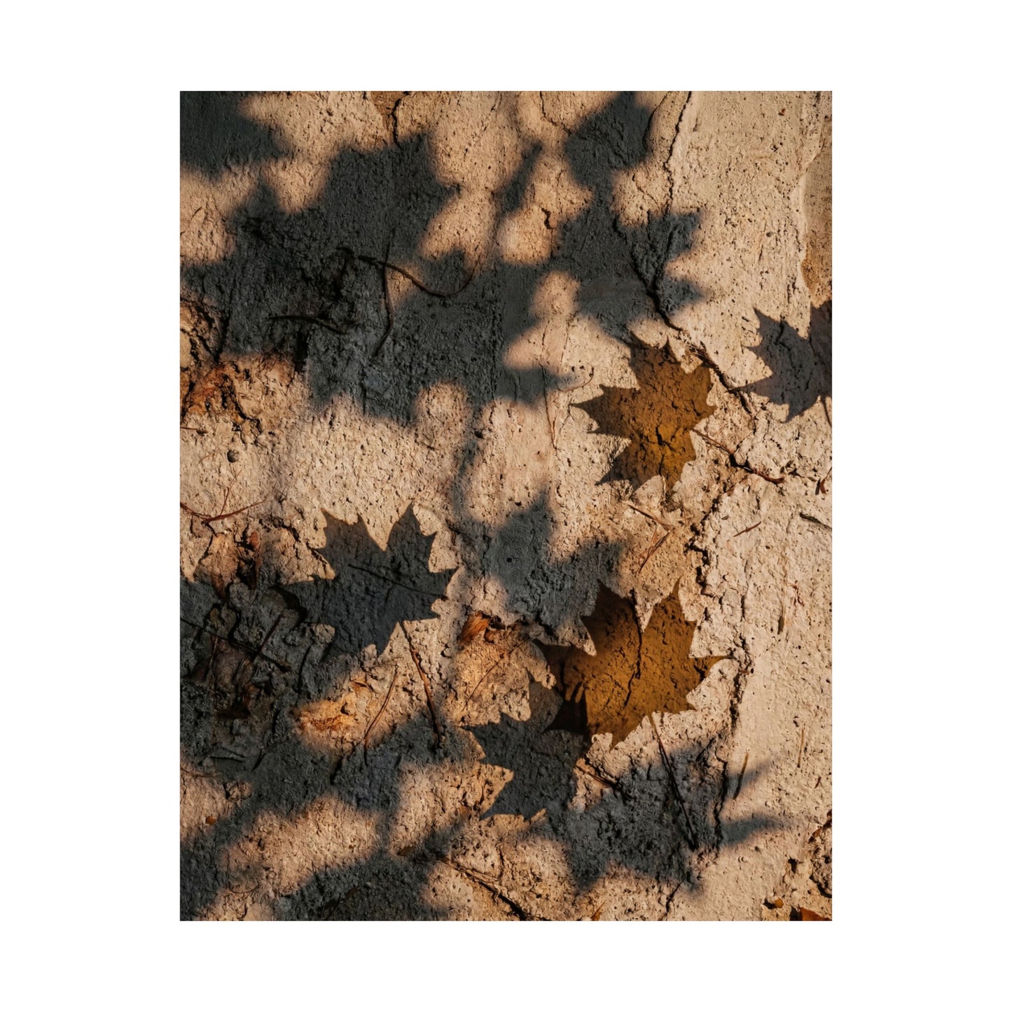 Shadow Play Texture Wall Art Print | Cozy Japandi Art