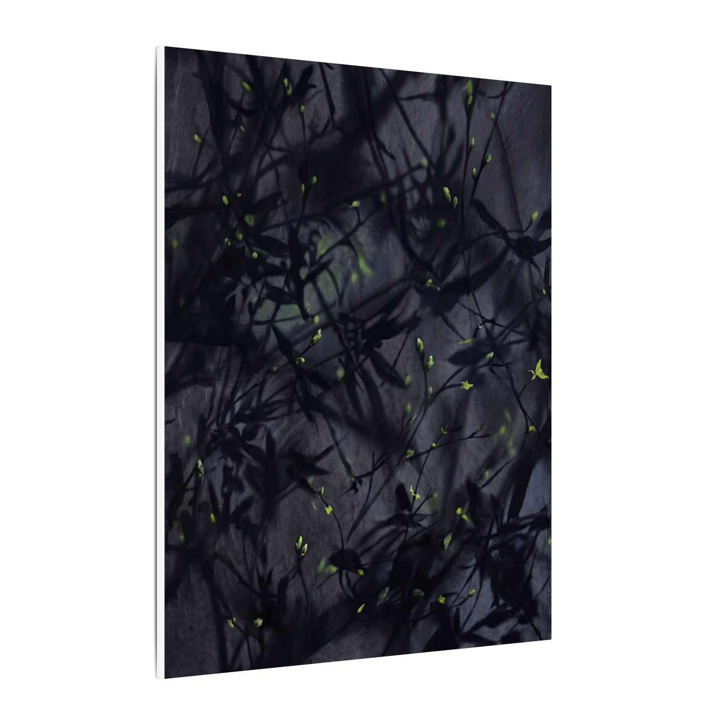 Shadow Play Spring Canvas Art | Dark Japandi Atmospheric Design