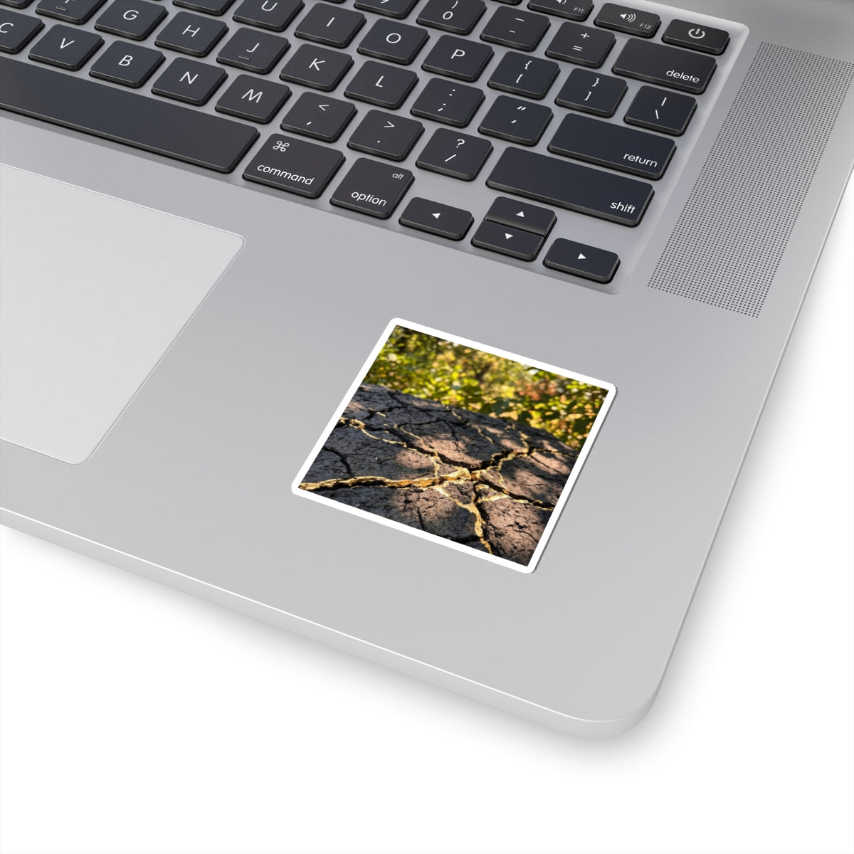 Cracked Earth Sticker | Summer Kintsugi Gold Repair Art