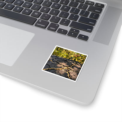Cracked Earth Sticker | Summer Kintsugi Gold Repair Art