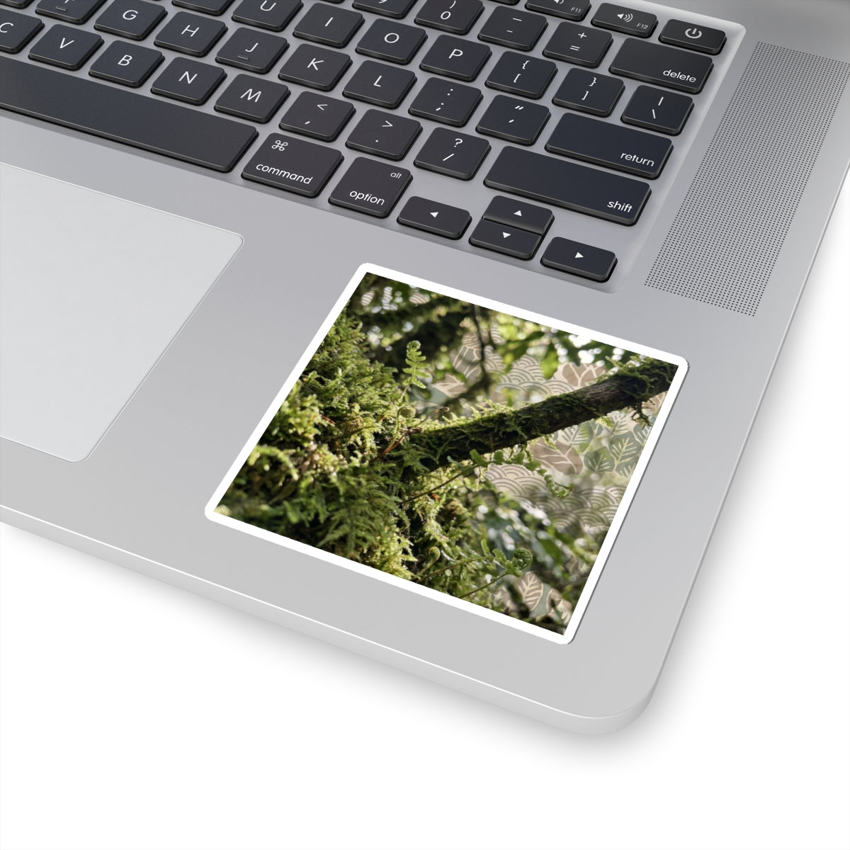 Moss Close Up Spring Sticker | Japandi Earthy Design Art Print