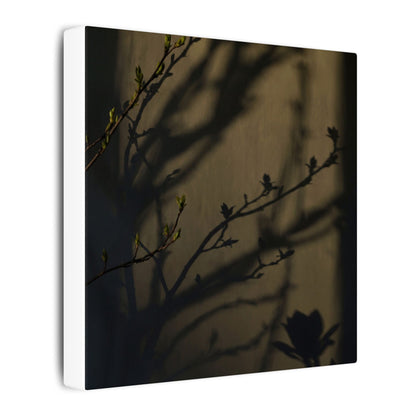 Seijaku Shadow Play Canvas Art - Dark Japandi Charcoal Ink