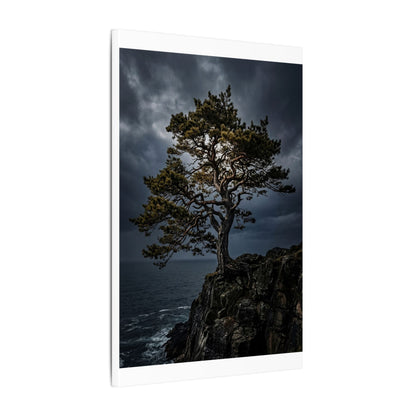 Dappled Pine Tree Canvas Art - Dark Japandi Fukinsei