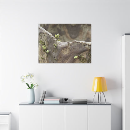 Overcast Ceramic Bowl Canvas Art - Japandi Fukinsei