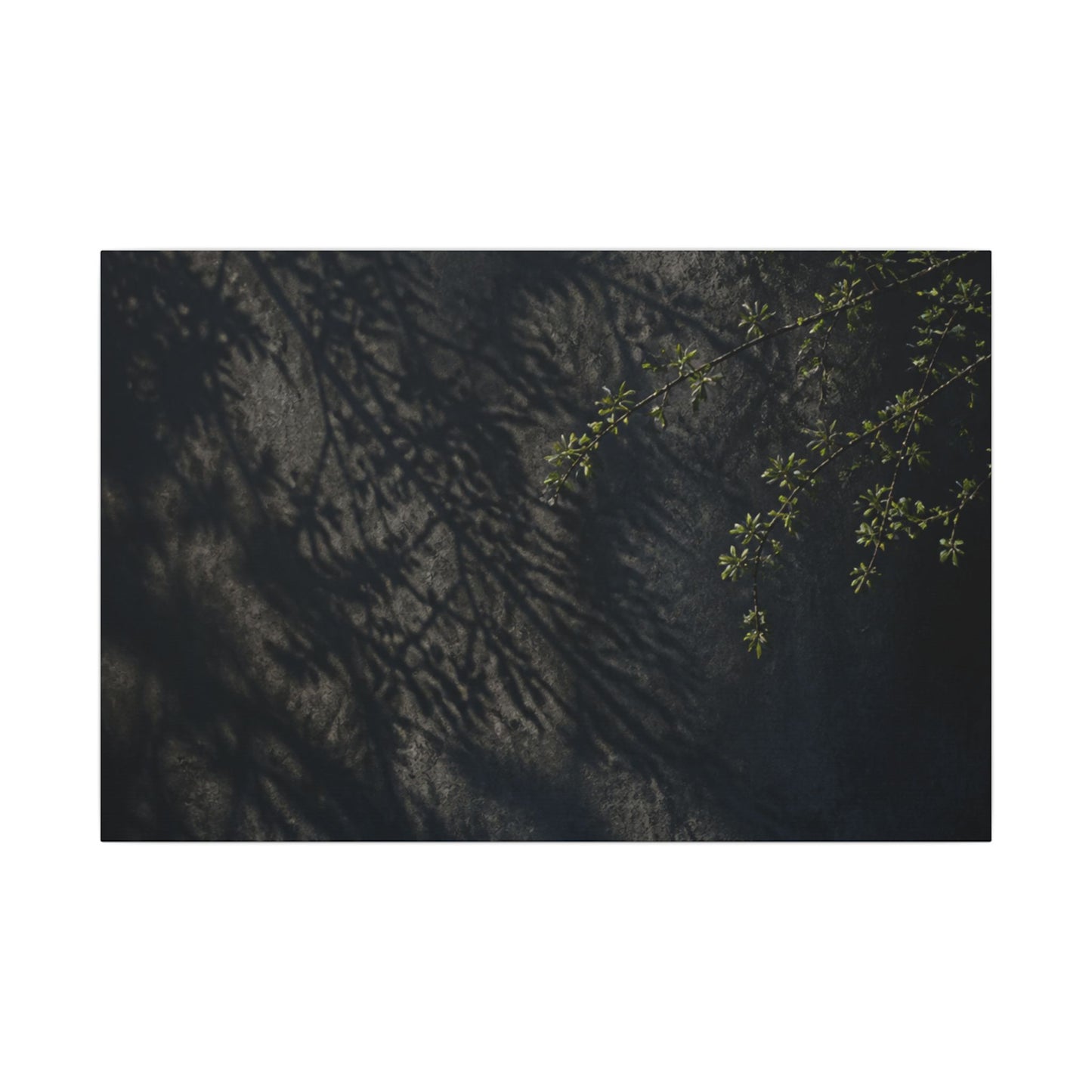 Overcast Shadow Play Canvas Art - Dark Japandi Seijaku