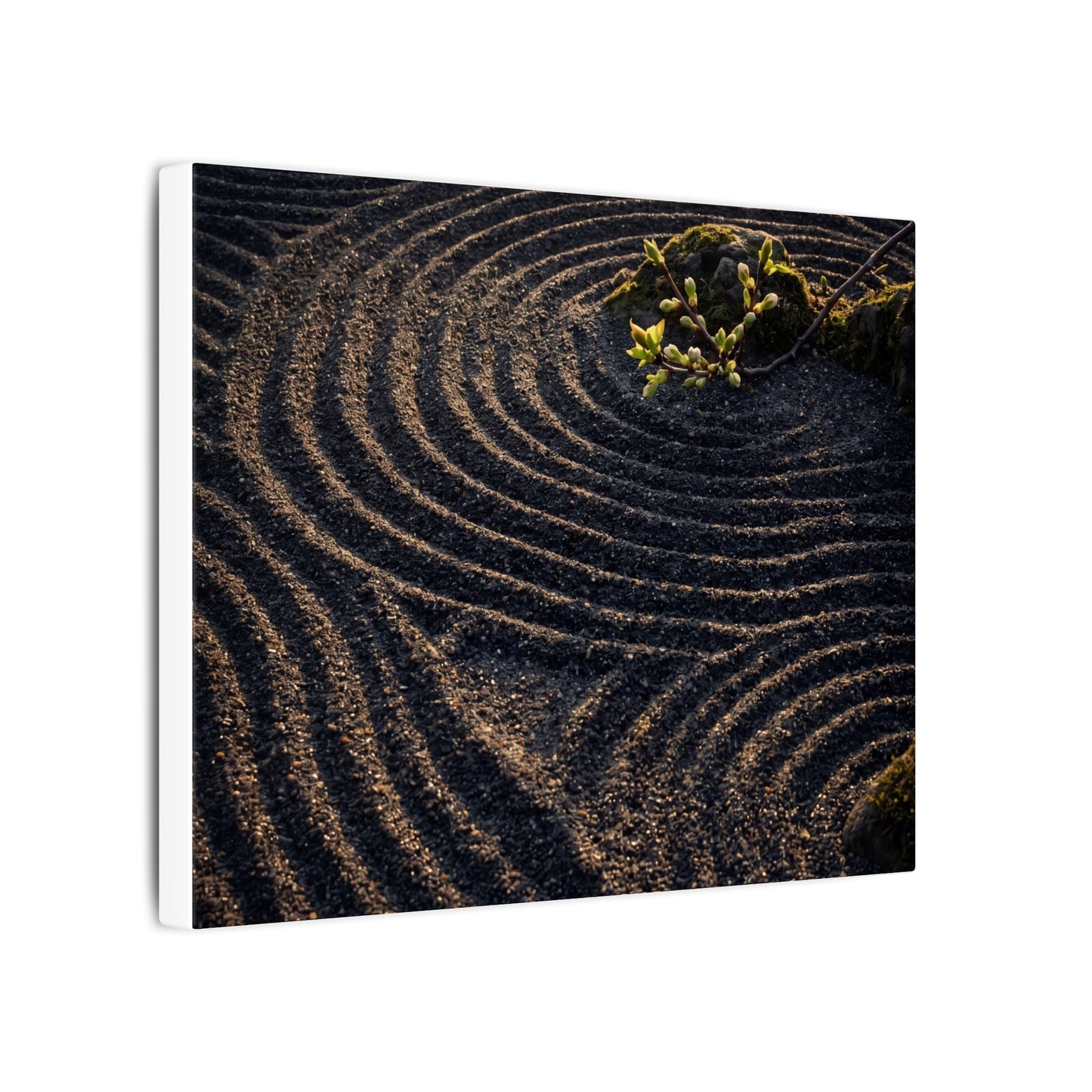 Spring Rock Garden Shadow Zen Canvas Art | Atmospheric Decor