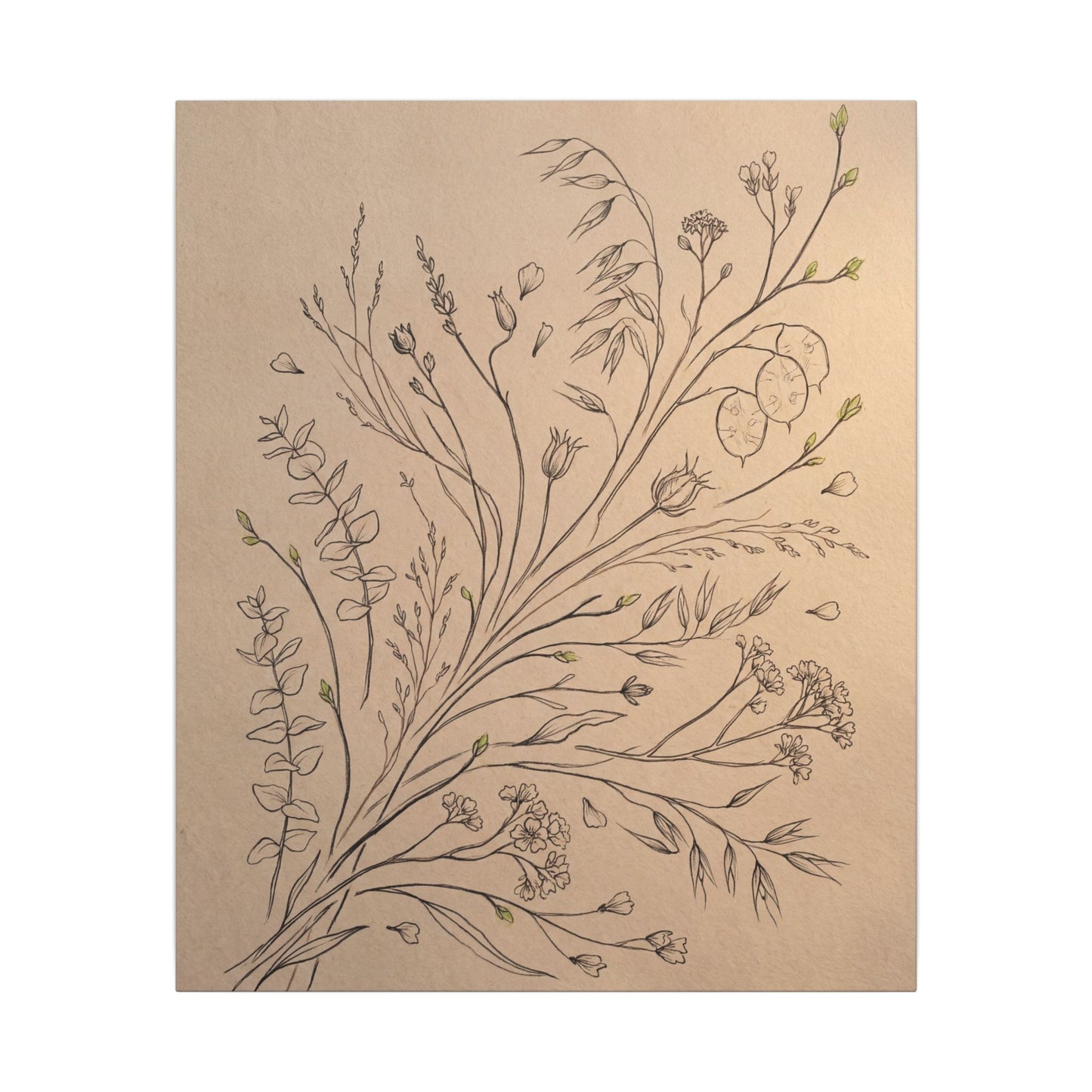 Dried Flowers Canvas Art | Spring Japandi Minimal Line Art