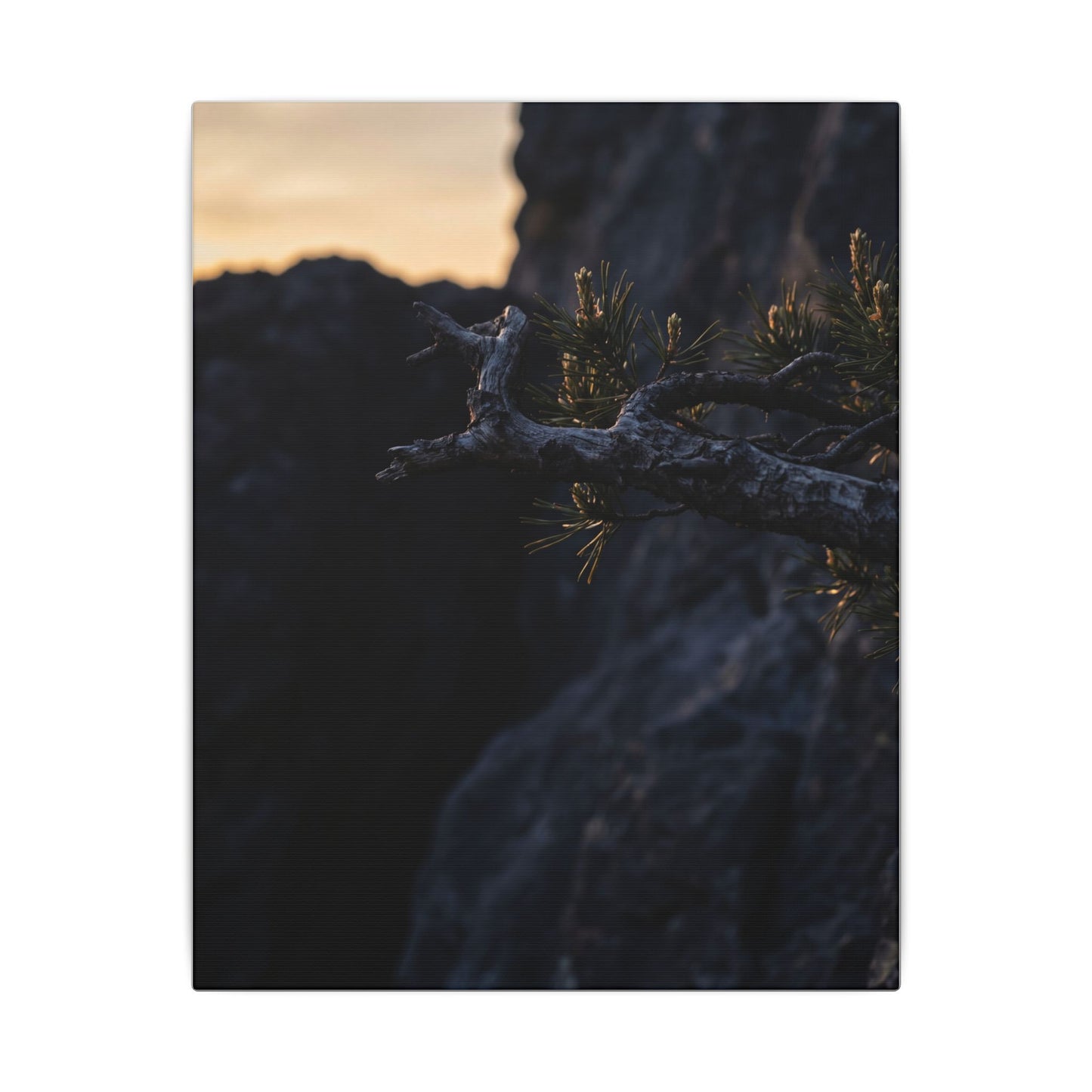 Pine Tree Moody Minimal Canvas Art | Sophisticated Dark Japandi Art