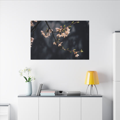Cherry Blossom Moody Minimal Canvas Art | Bold Dark Japandi Art