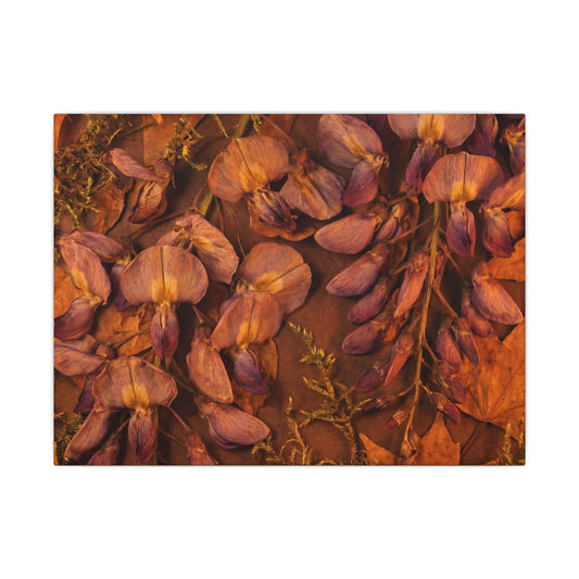 Kanso Wisteria Canvas Art - Cottagecore Herbarium Art Print