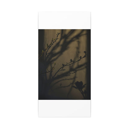 Seijaku Shadow Play Canvas Art - Dark Japandi Charcoal Ink