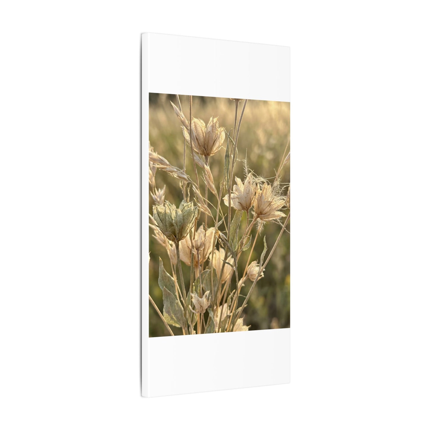 Summer Dried Flowers Minimal Line Canvas Art | Cozy Decor