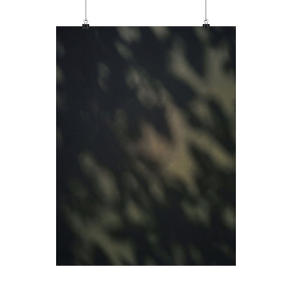 Dappled Shadow Play Wall Art Print - Dark Japandi Ma Art Print