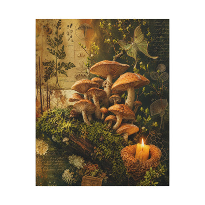 Spring Wild Mushrooms Herbarium Canvas Art | Earthy Decor