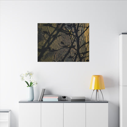 Kanso Shadow Play Canvas Art - Dark Japandi Dark Texture