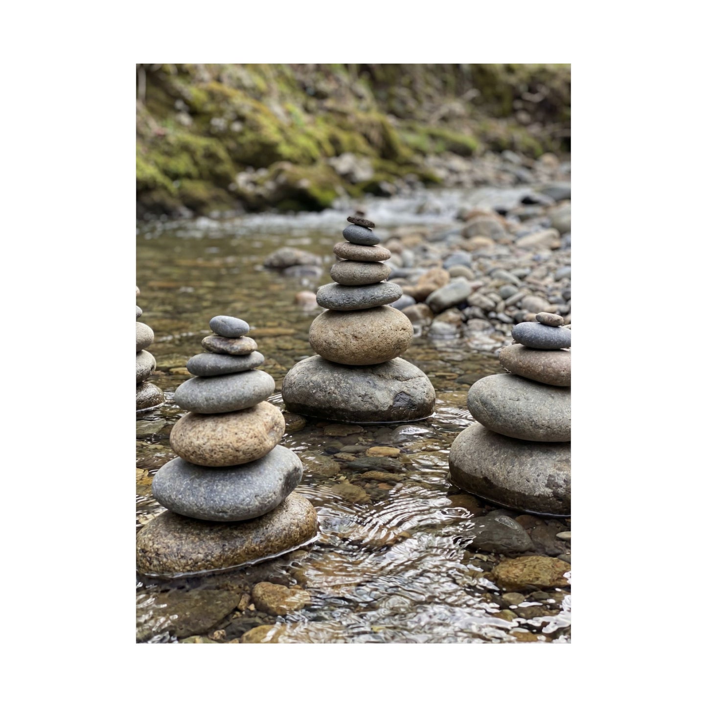 Bamboo Grove Winter Wall Art Print | Zen Peaceful Design