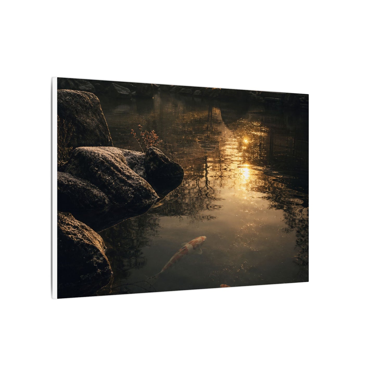 Winter Koi Pond Shadow Zen Canvas Art | Bold Decor