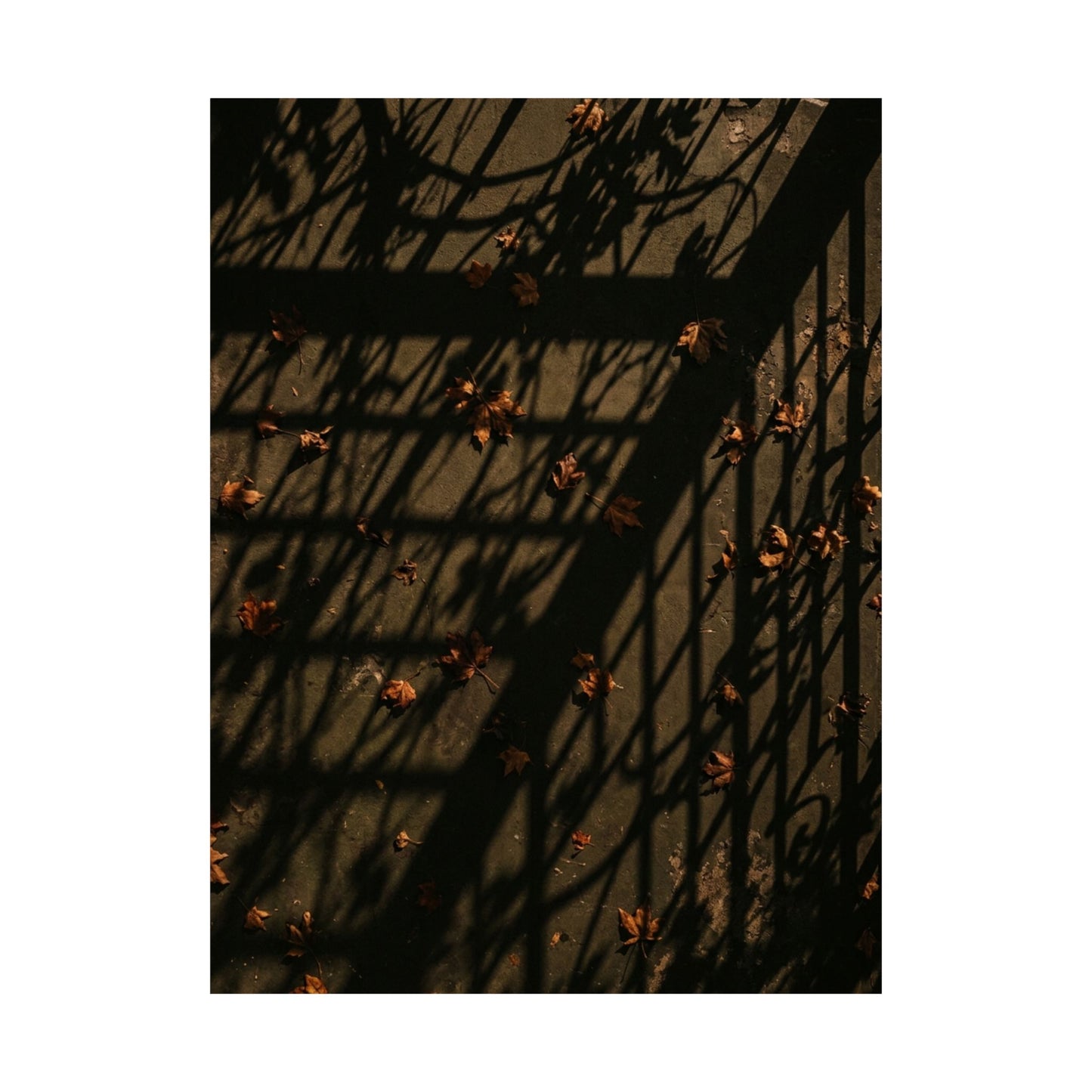 Atmospheric Shadow Play Wall Art Print - Moody Minimal Dark Japandi