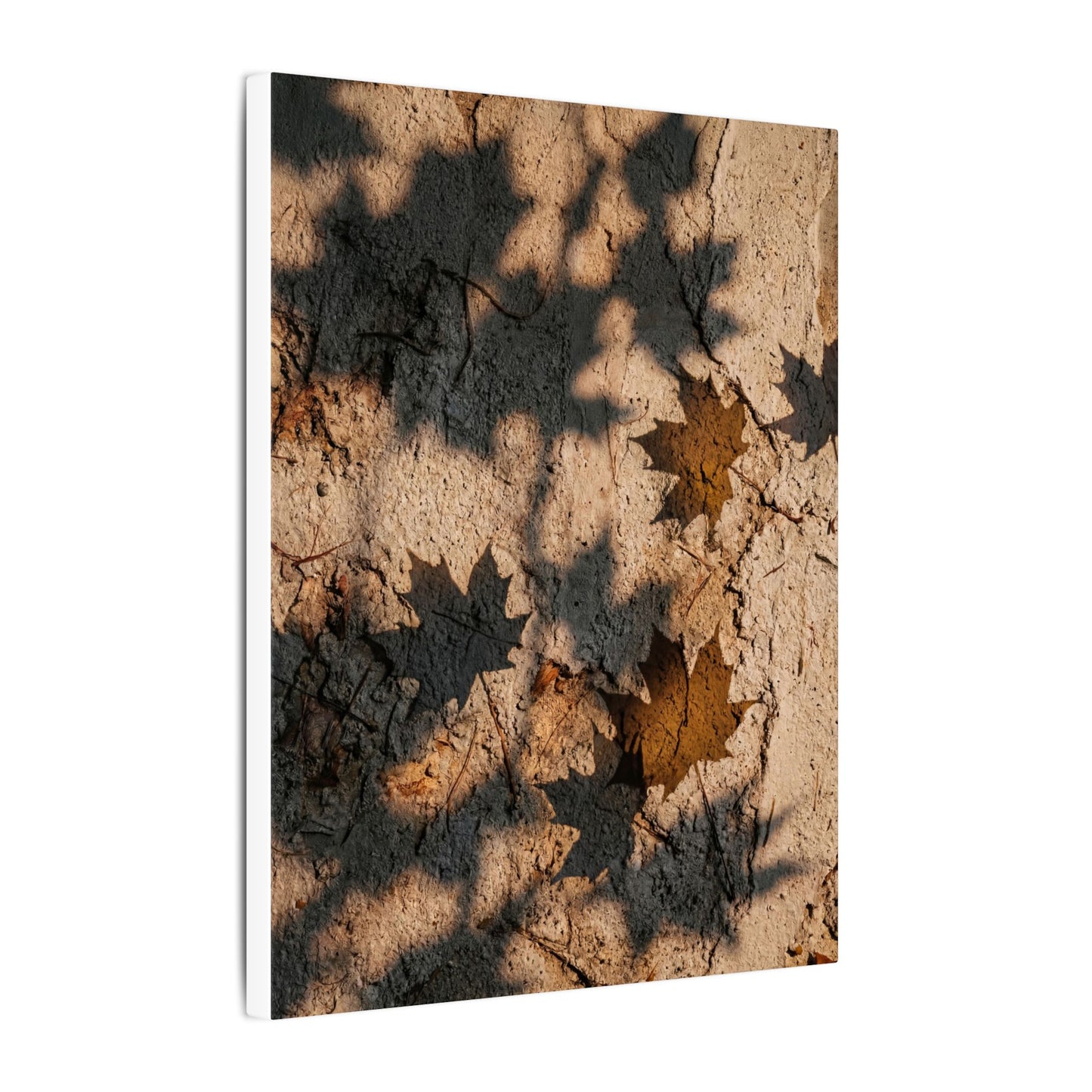 Cozy Shadow Play Canvas Art - Texture Japandi