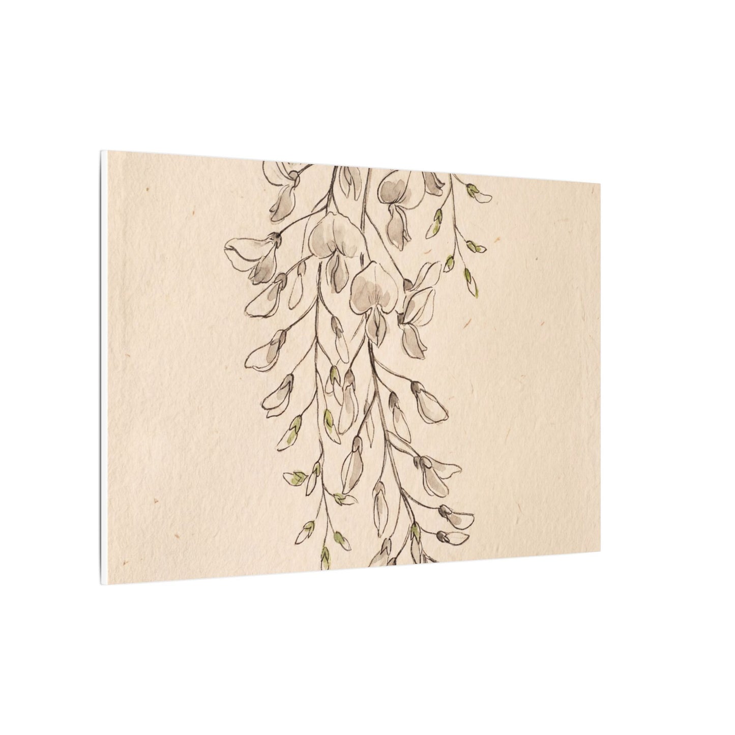 Japandi Wisteria in Golden Hour | Minimal Line Canvas Art