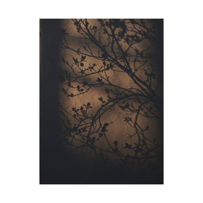Dark Japandi Shadow Play in Golden Hour | Shadow Zen Canvas Art