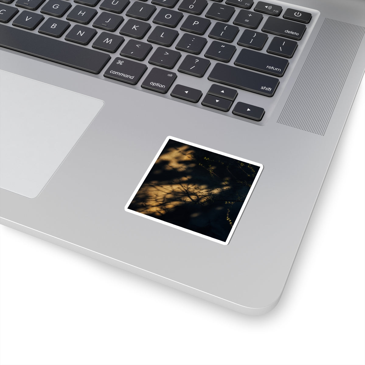 Spring Shadow Play Moody Minimal Sticker | Luxurious Decor